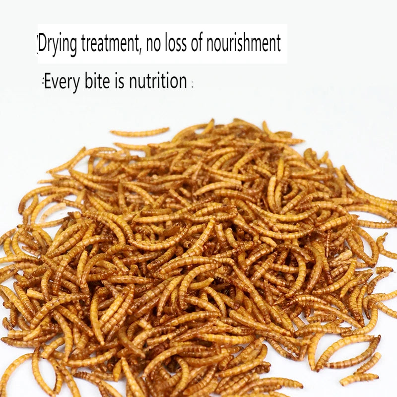 Small Animals Food Dried Bread Worm