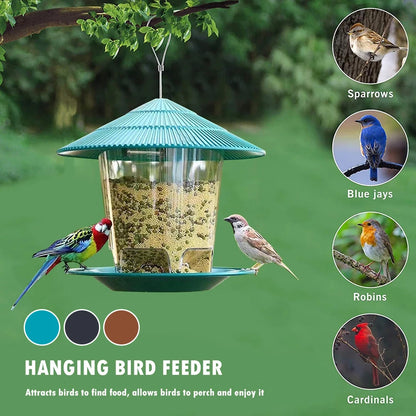 Bird Automatic Outdoor Feeder