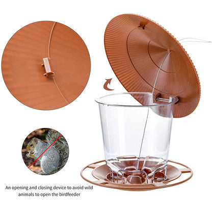 Bird Automatic Outdoor Feeder