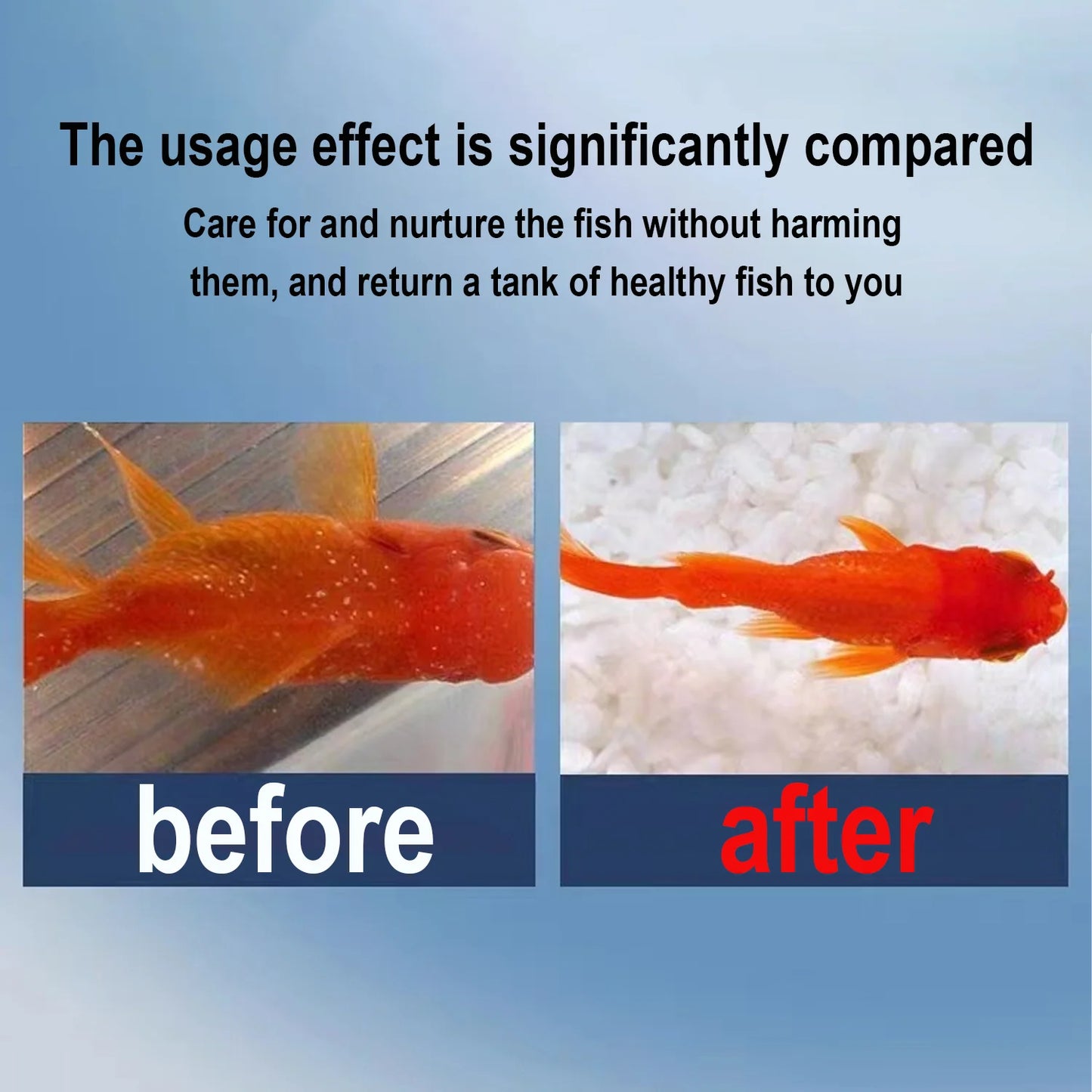 Methylene Blue Solution Aquarium Fish Treatment, Anti Fungus, Bacteria, Parasite Cure