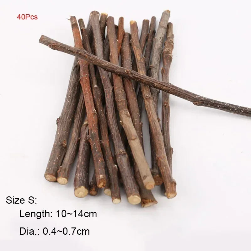 5pcs 10pcs 40pcs Chew Stick Apple Tree Branch Hamster Squirrel Natural Toys