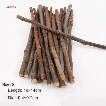 5pcs 10pcs 40pcs Chew Stick Apple Tree Branch Hamster Squirrel Natural Toys