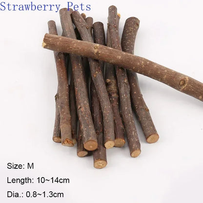5pcs 10pcs 40pcs Chew Stick Apple Tree Branch Hamster Squirrel Natural Toys